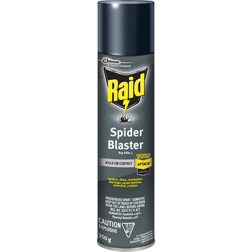 Insecticide exterminateur daraign&eacute;es Raid, 350 g, Canette a&eacute;rosol, &agrave; base de solvant Distribution Élite MP