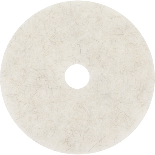Natural Blend Pad, 17", Burnishing, White Distribution Élite MP