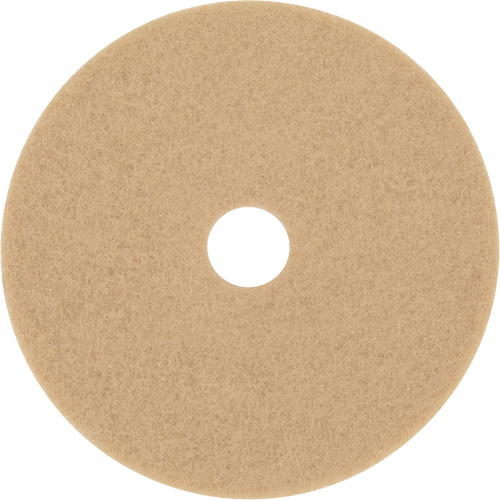 Trizact Diamond TZ Abrasive Strip, 20", Burnishing, Beige Distribution Élite MP
