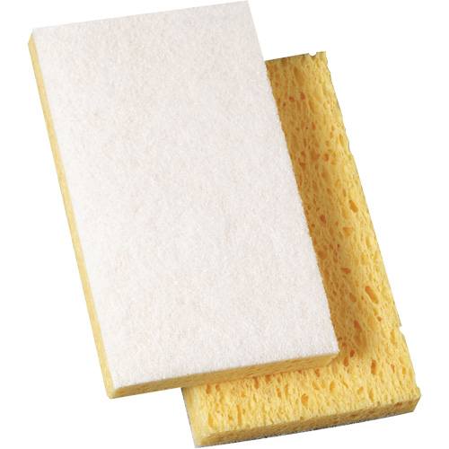 Scotch-Brite Light Duty Scrub Sponge, 3-3/5" L x 6" W Distribution Élite MP