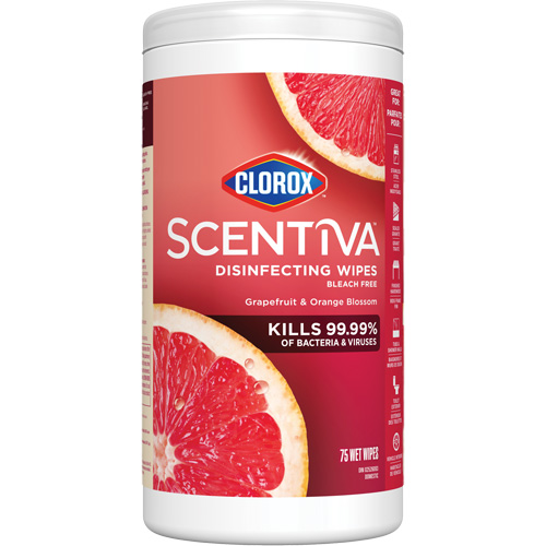 Disinfecting Wipes, 75 Count Distribution Élite MP