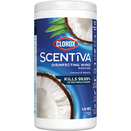 Disinfecting Wipes, 75 Count Distribution Élite MP