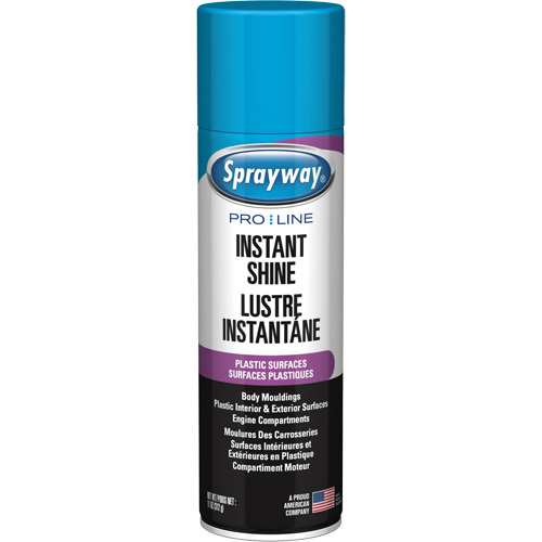 Brillant instantan&eacute; Pro Line pour surfaces en plastique, 11 oz, Canette a&eacute;rosol Distribution Élite MP