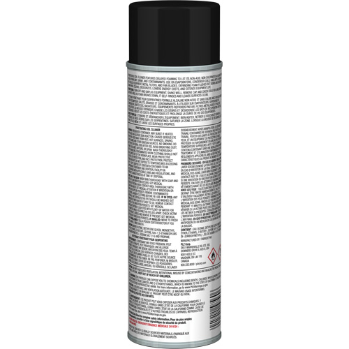Nettoyant p&eacute;n&eacute;trant pour bobines Pro Line &agrave; action moussante diff&eacute;r&eacute;e, 19 oz., Canette a&eacute;rosol Distribution Élite MP
