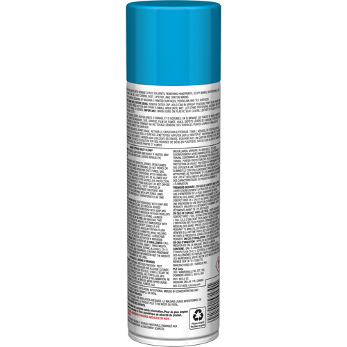Nettoyant tout usage Pro Line Crazy Clean, 19 oz., Canette a&eacute;rosol Distribution Élite MP
