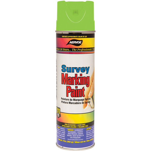 Peinture de marquage polyvalente, 17 oz, Canette a&eacute;rosol Distribution Élite MP