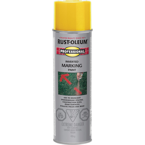 Inverted Marking Paint Spray, 426 g, Aerosol Can Distribution Élite MP