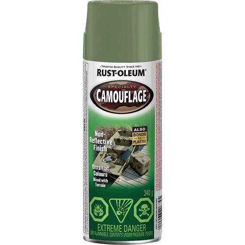 Specialty Camouflage Paint, Aerosol Can, Earth Brown Distribution Élite MP