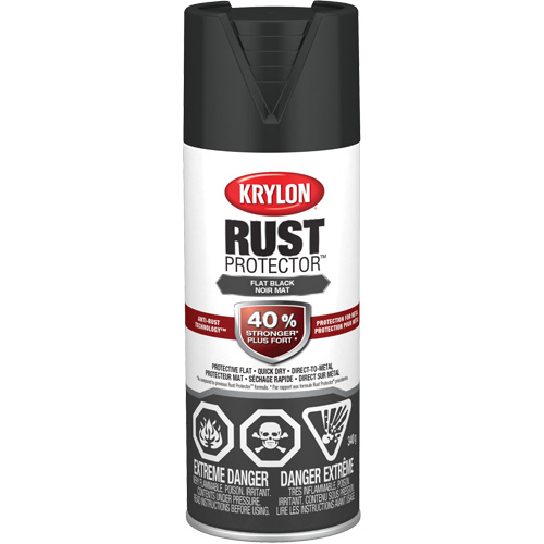 Rust Protector&reg; Enamel Paint, Black, Very Flat, 12 oz., Aerosol Can Distribution Élite MP