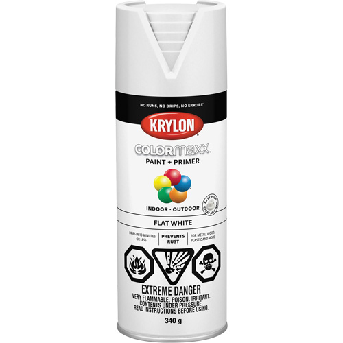 COLORmaxx Paint + Primer, White, Very Flat, 12 oz., Aerosol Can Distribution Élite MP