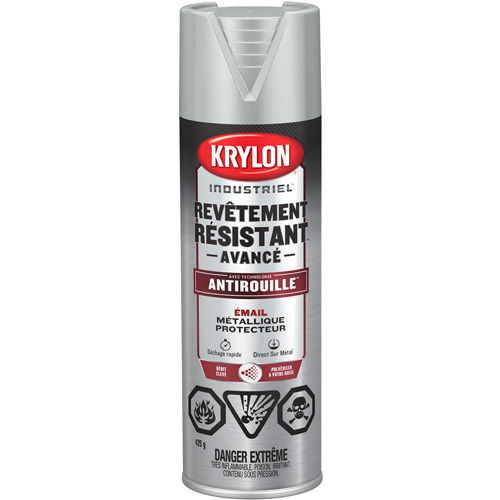 Tough Coat&reg; Advanced Paint with Rust Barrier Technology, Aluminum, Metallic, 425 g, Aerosol Can Distribution Élite MP