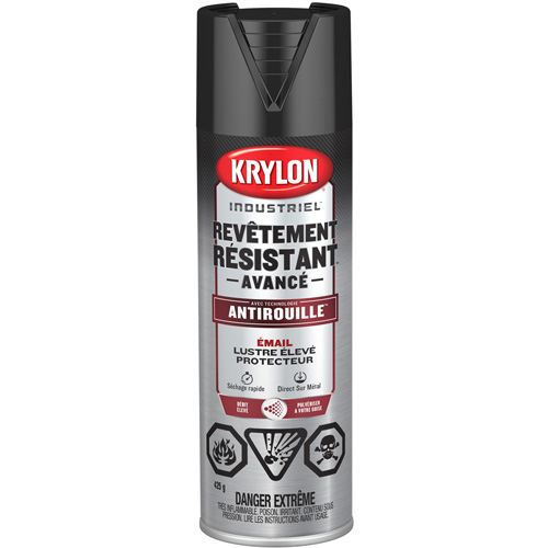 Tough Coat&reg; Advanced Paint with Rust Barrier Technology, Black, High-Gloss, 425 g, Aerosol Can Distribution Élite MP