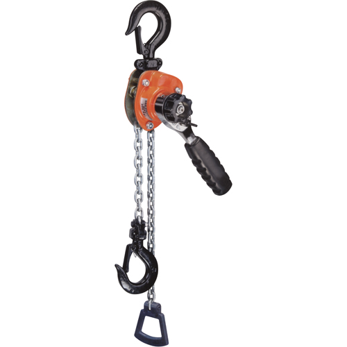 Palan &agrave; levier s&eacute;rie 602 &agrave; mini rochet, Lev&eacute;e 10', Cabacit&eacute; 550 lb (0,275 tonne), Chaîne en Acier Distribution Élite MP