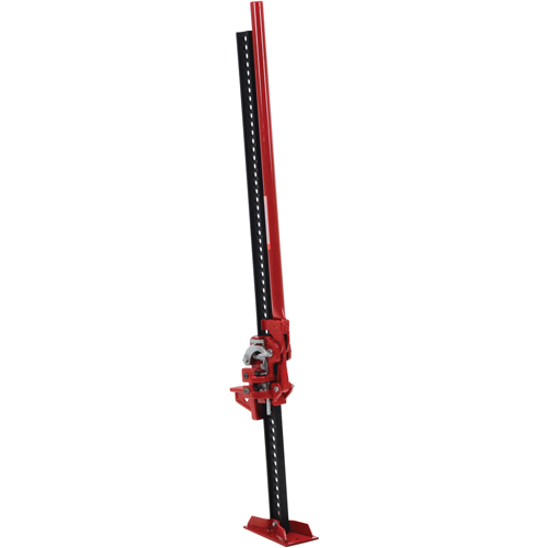 Jacks Distribution Élite MP