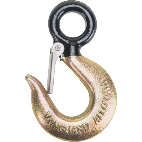 Black Eye&reg; Wire Rope Hoist Hook Distribution Élite MP