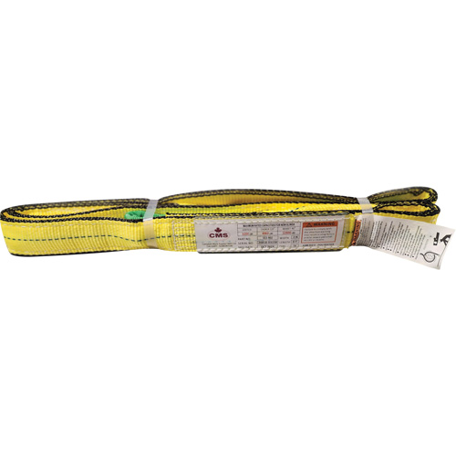 &eacute;lingue en sangle de polyester, Pli Double, Oeillets renvers&eacute;s, Type 4, 2" la x 8' lo, Capacit&eacute; verticale 6400 lb Distribution Élite MP