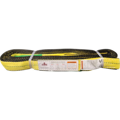 Polyester Web Sling, Double Ply, Twisted Eye, Type 4, 2" W x 20' L, 6400 lbs. Vertical Cap. Distribution Élite MP
