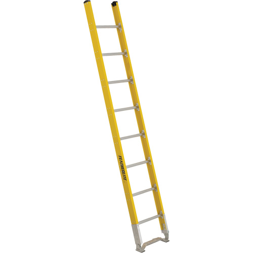 &eacute;chelle simple &agrave; une section - S&eacute;rie 6100, 8', Fibre de verre, 375 lb, CSA calibre 1AA Distribution Élite MP