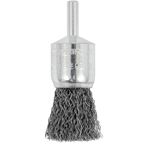 Brosse coupelle sertie mont&eacute;e sur tige, 3/4", Fils 0,012", Tige 1/4" Distribution Élite MP