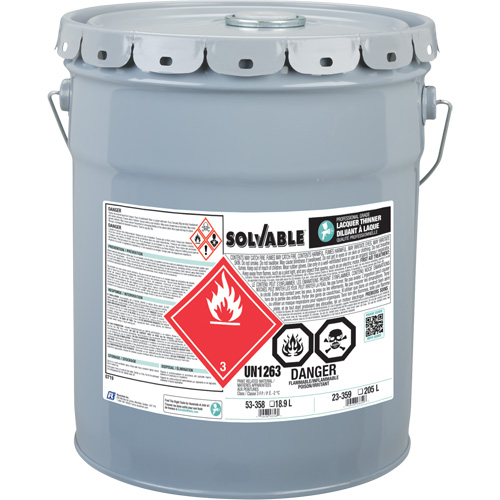 Diluant pour laque de calibre professionnel, Seau, 18,9 L Distribution Élite MP