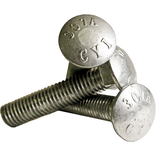 Carriage Bolt Full thread, 5/16" x 2-1/2" L, Galvanized, Coarse Distribution Élite MP