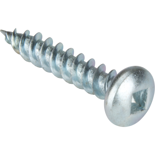 Tapping Screw Pan Head, #10 x 1-1/4" L, Zinc Plated Distribution Élite MP