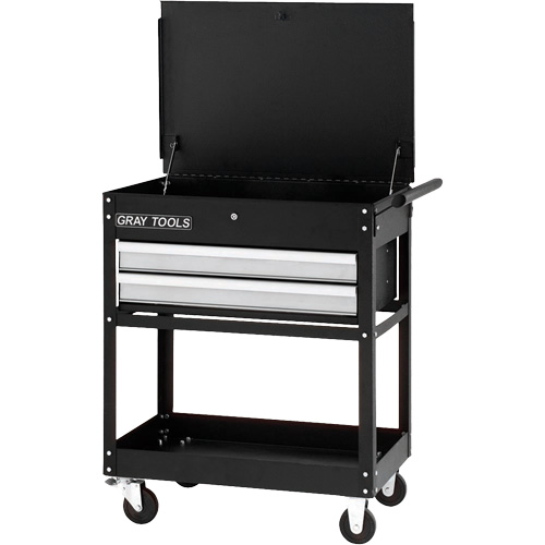 Utility Cart, 2 Drawers, 30-1/4" L x 19" W x 35-3/4" H, Black Distribution Élite MP