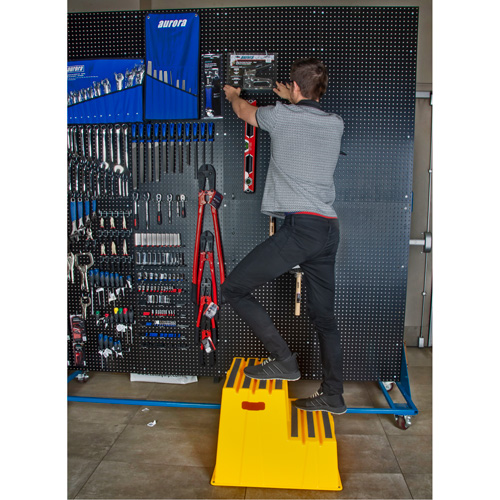 Escabeau industriel, 2 marches, 26" x 22-7/16" x Hauteur 19-11/16" Distribution Élite MP