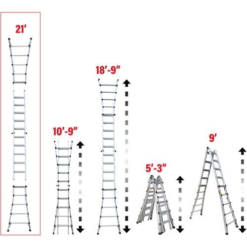 &eacute;chelle t&eacute;lescopique multifonction, Aluminium, 300 lb, CSA calibre 1A Distribution Élite MP