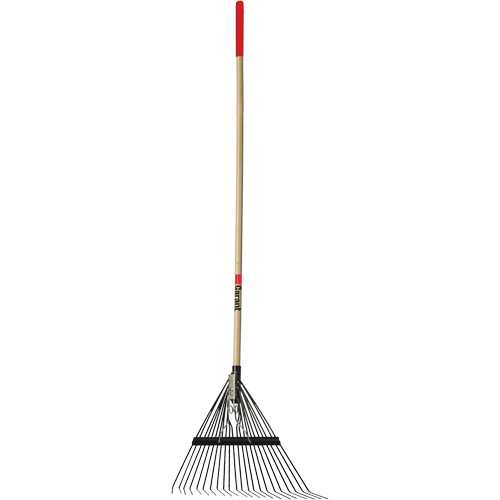 Lawn Rake, 24 Tines, Hardwood Handle, Steel Blade Distribution Élite MP