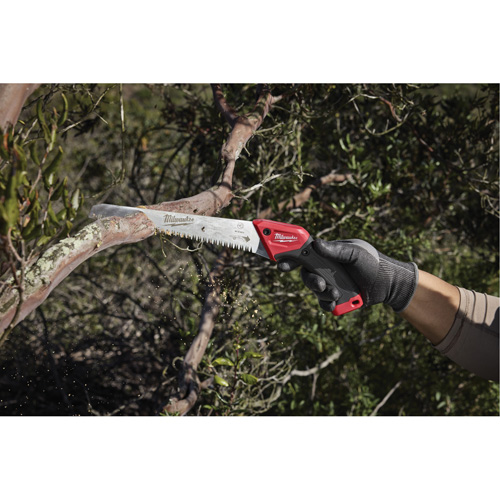 10” Fixed Pruning Saw with Straight Blade Distribution Élite MP