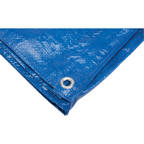 B&acirc;che, Standard, Bleu, 7' x 5' x 4 mils Distribution Élite MP
