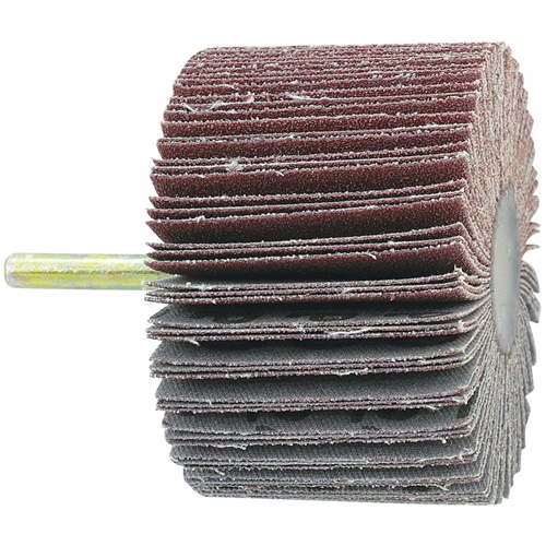 Disque &agrave; lamelles mont&eacute; sur mandrin, Grain 60, 1-1/2" x 1/4" Distribution Élite MP