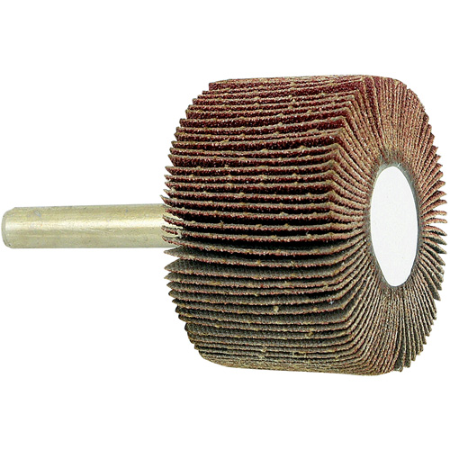 Disque &agrave; lamelles mont&eacute; sur mandrin, Grain 80, 1-1/2" x 1" x 1/4" Distribution Élite MP