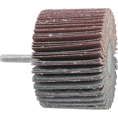 Mounted Flapwheel, 60 Grit, 3" x 1" x 1/4" Distribution Élite MP