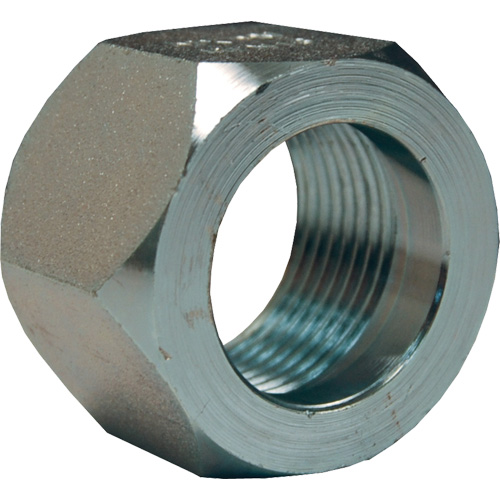 Dixon&reg; Mining Hex Nut, 1", Zinc Plated, NPT Thread Distribution Élite MP