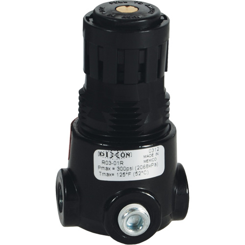 Wilkerson Miniature Regulator R03, 1/8" NPT, 300 psi Max. PSI, Standard Distribution Élite MP