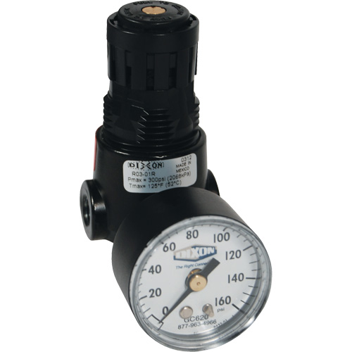 Wilkerson Miniature Regulator R04, 1/4" NPT, 300 psi Max. PSI, Standard Distribution Élite MP