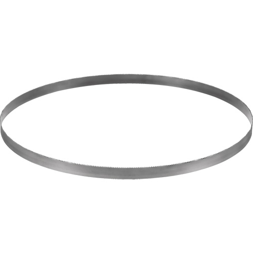 Lame de scie &agrave; ruban sans fil, Bim&eacute;tal, 32-7/8" lo x &eacute;paisseur 0,02", 14-18 dents par pouce Distribution Élite MP