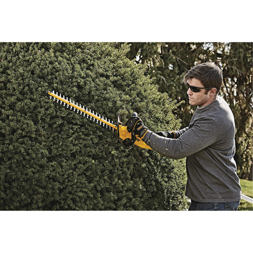 Taille-haie MAX*, 22", 20 V, &agrave; pile Distribution Élite MP