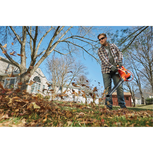 Souffleur/aspirateur/broyeur de feuilles 3-en-1 VacPack, Vitesse d'air 250 mi/h, &eacute;lectrique Distribution Élite MP