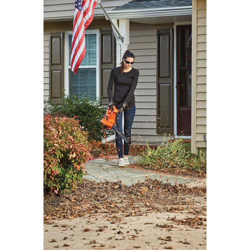 Souffleur/aspirateur/broyeur de feuilles 3-en-1 VacPack, Vitesse d'air 250 mi/h, &eacute;lectrique Distribution Élite MP