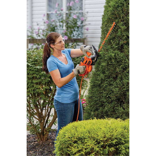 Taille-haie, 16", &eacute;lectrique Distribution Élite MP