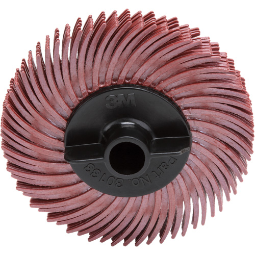 Disque &agrave; soies radiales, RB- ZB Scotch-Brite, C&eacute;ramique, Grain 220, 2" dia. Distribution Élite MP