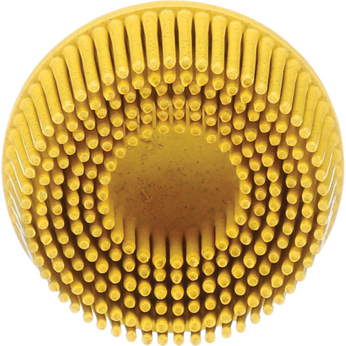 Scotch-Brite Roloc Bristle Disc, Ceramic, Medium Grit, 2" Dia. Distribution Élite MP