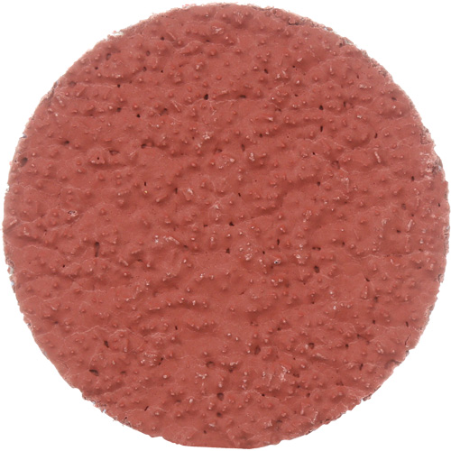 Disque &agrave; d&eacute;ligner durable II Roloc Cubitron, 2" dia., Grain 36+, C&eacute;ramique Distribution Élite MP