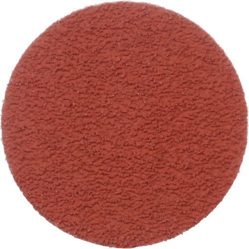 Disque &agrave; d&eacute;ligner durable II Roloc Cubitron, 2" dia., Grain 60+, C&eacute;ramique Distribution Élite MP
