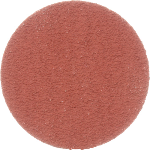 Disque &agrave; d&eacute;ligner durable II Roloc Cubitron, 2" dia., Grain 80+, C&eacute;ramique Distribution Élite MP