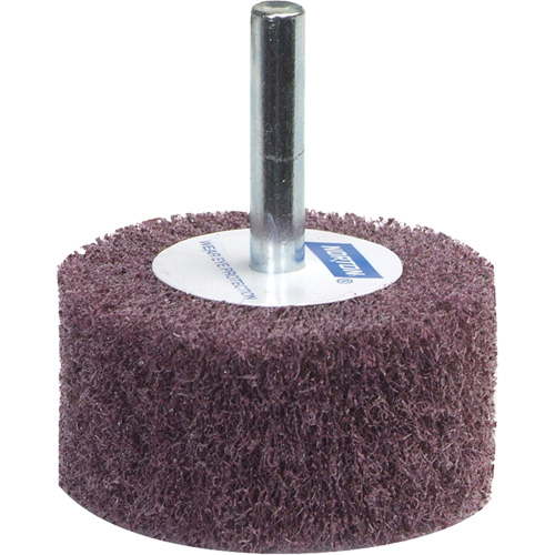 Meule &agrave; lamelles abrasives Bear-Tex Distribution Élite MP