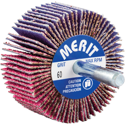 Mini-meule &agrave; lamelles mont&eacute;e sur tige, C&eacute;ramique d'alumine, Grain 60, 2" x 1" x 1/4" Distribution Élite MP